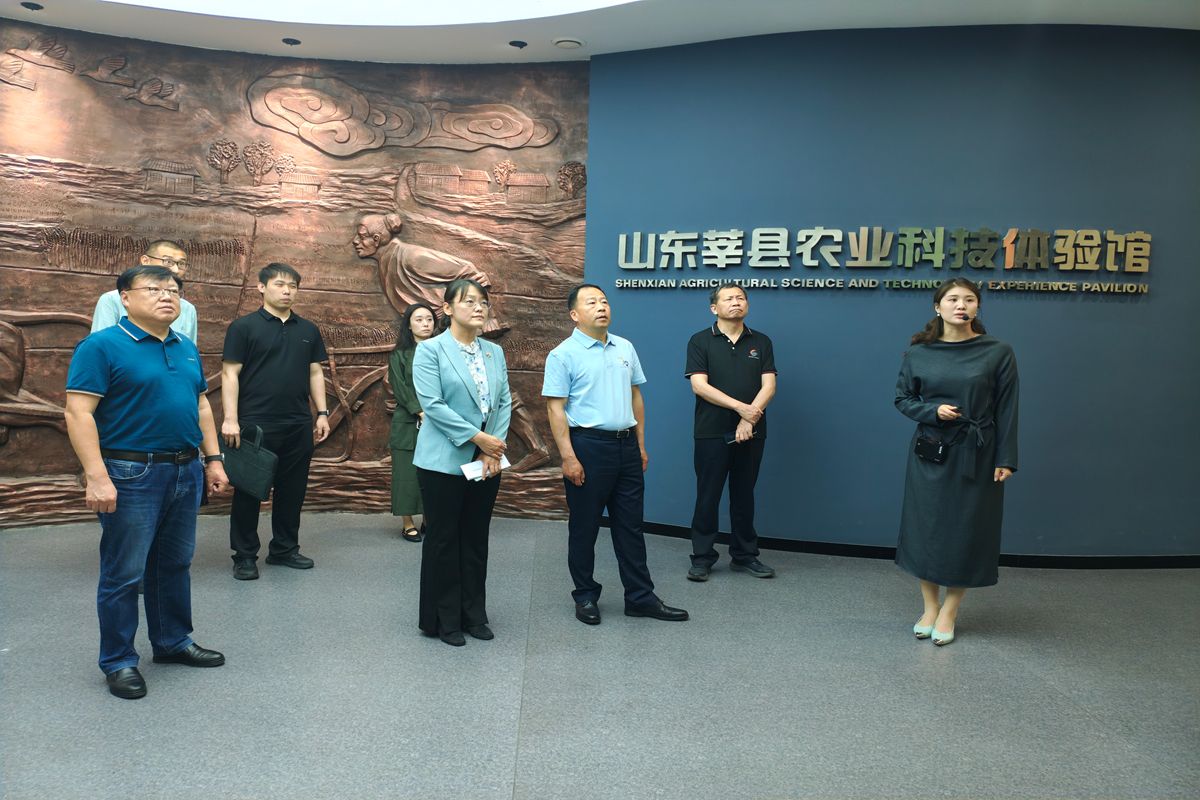 太阳城娱乐城